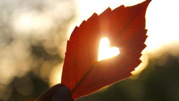 Много любов очаква една зодия на 19 октомври