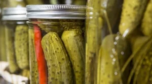 Здравословни ползи на ферментиралите храни и напитки