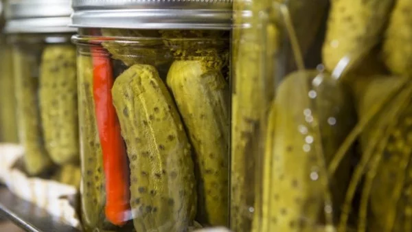 Здравословни ползи на ферментиралите храни и напитки