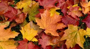 Какво ще бъде времето през уикенда и в началото на седмицата