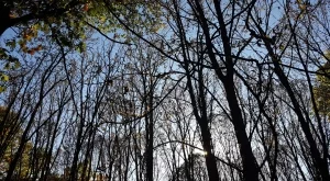 Прогноза за времето за 13 и 14 октомври 