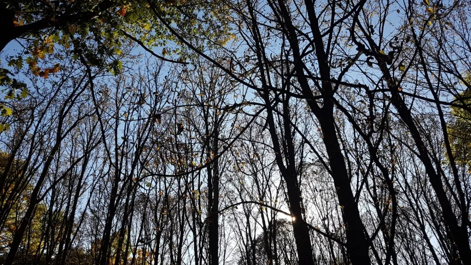 Прогноза за времето за 13 и 14 октомври 