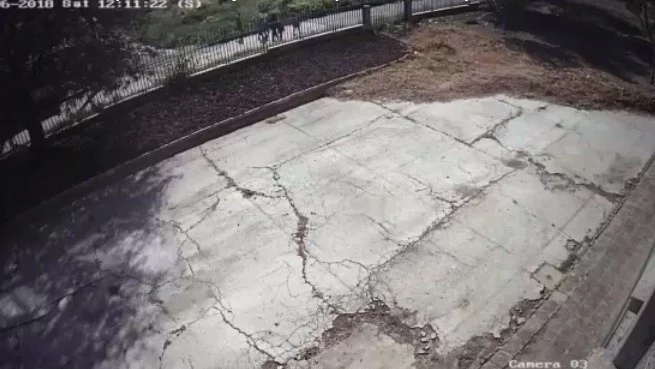 Запис от камера показва вероятния убиец на Виктория (ВИДЕО)