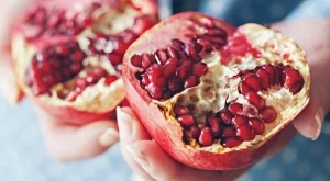 Нарът - най-силният антиоксидант