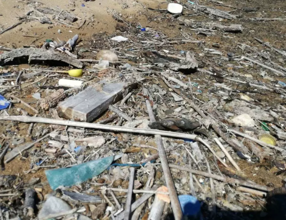 Великобритания ползва Турция като бунище за пластмасовите си отпадъци 