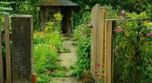 Как да превърнем двора в произведение на изкуството