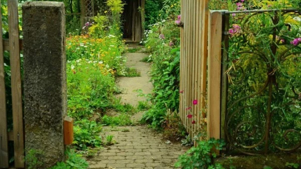 Как да превърнем двора в произведение на изкуството