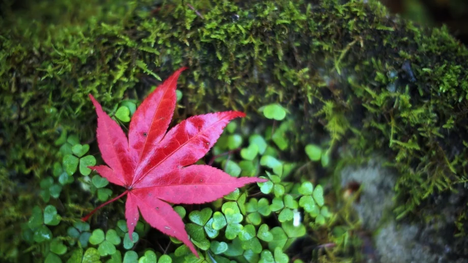 Прогноза за времето за 20 и 21 октомври