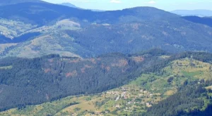 Виц за днес: Туристи се любуват на природата в Родопите