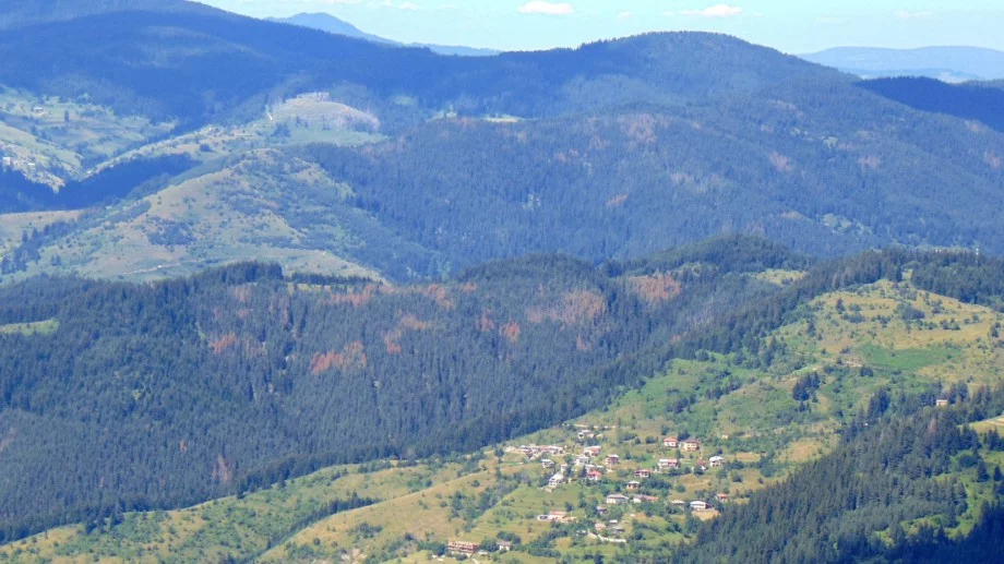 Виц за днес: Туристи се любуват на природата в Родопите