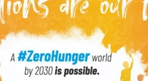 2018/11/01/0469405001541065913