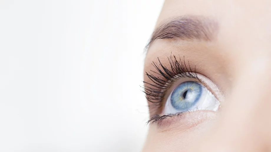 На какво се дължи синият цвят на очите?