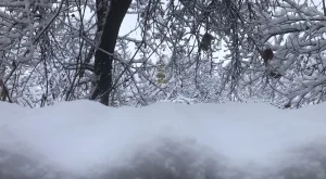 Всички пътища са проходими при зимни условия