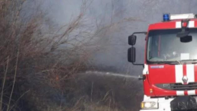 Пожар гори край село Реброво 