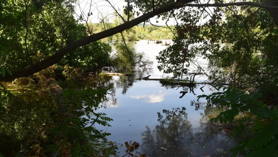 БЧК: 70% от удавянията се случват в реки