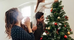 Най-предпочитаните коледни елхи от българите