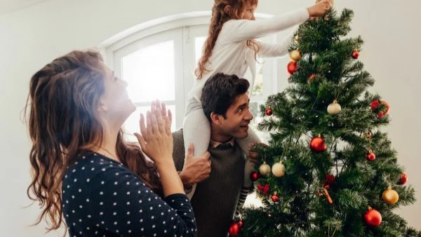 Най-предпочитаните коледни елхи от българите