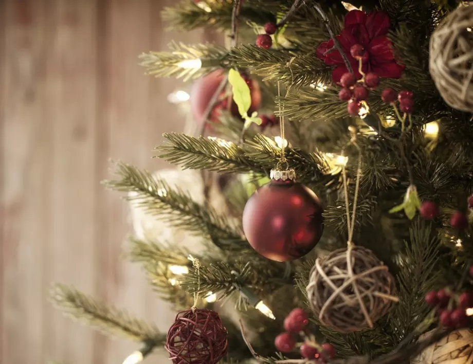 4 трика, с които елхата ще остане свежа по-дълго