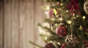 Виц на деня: Мамо, лампичките на елхата горят