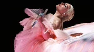 Обвиняват Лейди Гага в плагиатство за "Shallow"