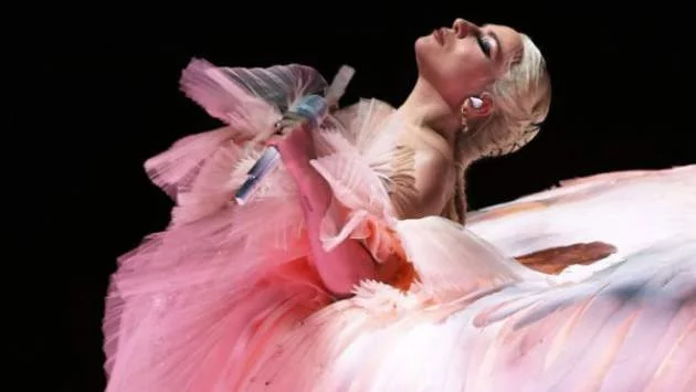 Обвиняват Лейди Гага в плагиатство за "Shallow"