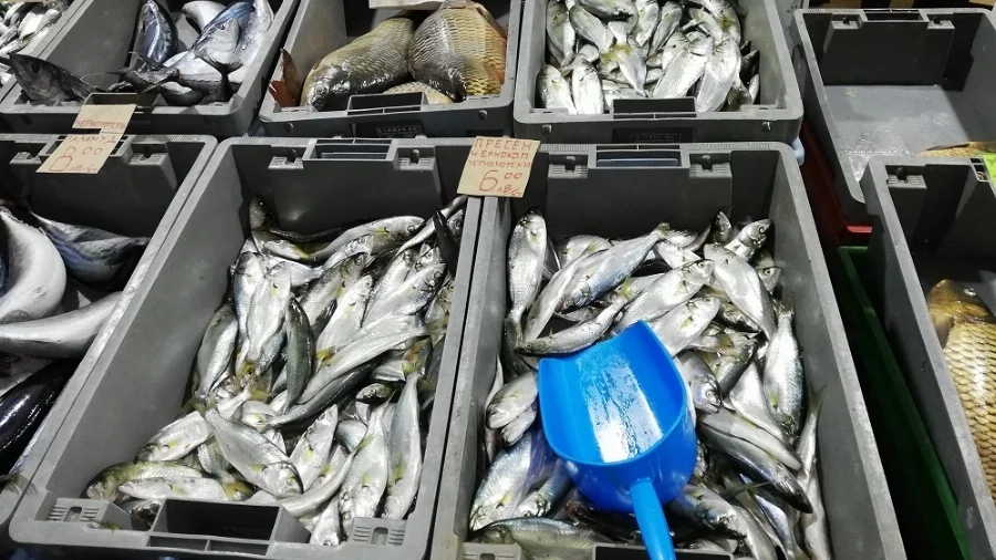 Купувайте риба за Никулден само от регистрирани търговски обекти