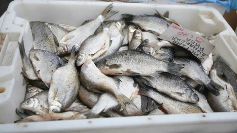 Как да разпознаете прясната риба