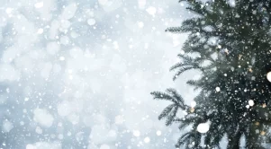 Ще има ли сняг на Коледа и Нова година?
