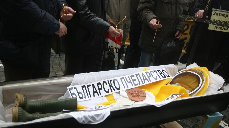 Постоянна работна група ще решава проблемите в сектор "Пчеларство"