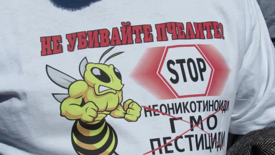 Няма глобени за изтровените пчелни семейства в няколко региона на страната