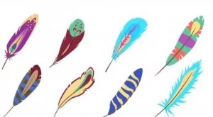 Изберете перо и разберете от какво наистина имате нужда