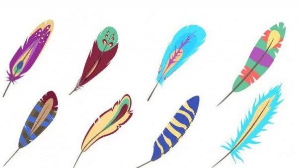 Изберете перо и разберете от какво наистина имате нужда