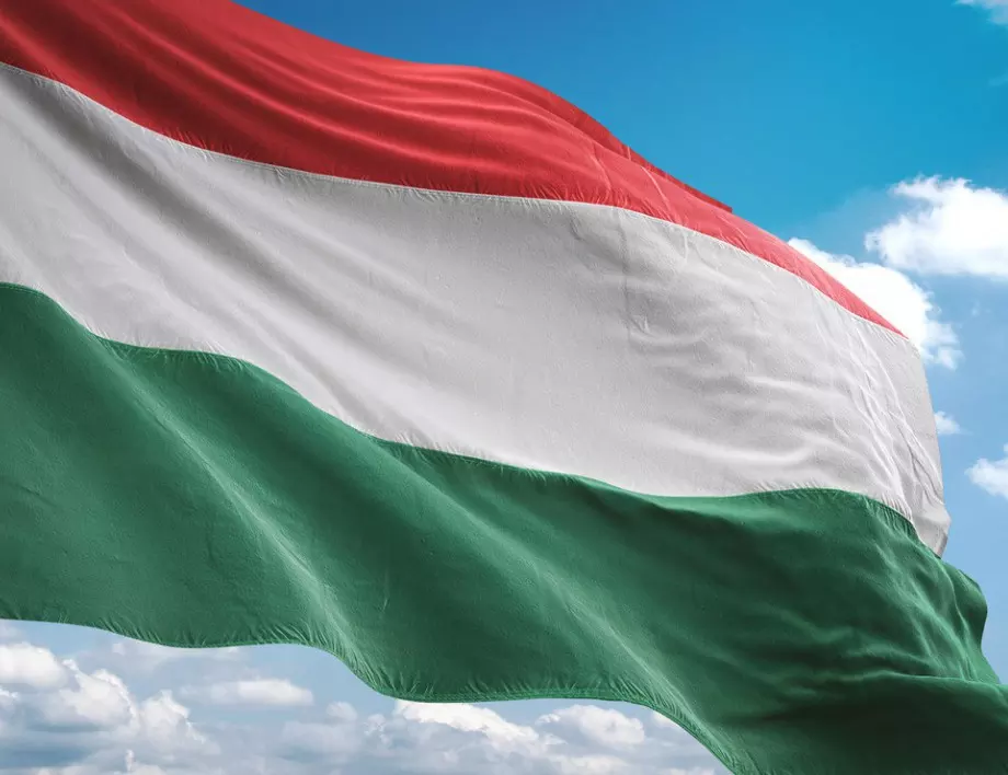 Коронавирусът по света: Унгария преминава през пик на смъртността