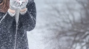 Какво ще бъде времето до края на януари?