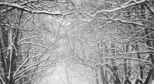 Прогноза за времето за 12 и 13 януари