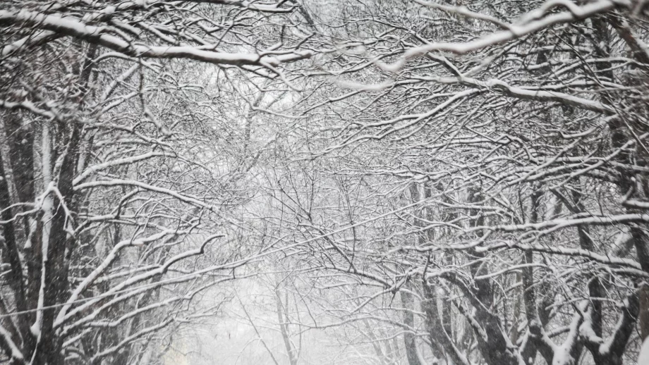 Прогноза за времето за 12 и 13 януари