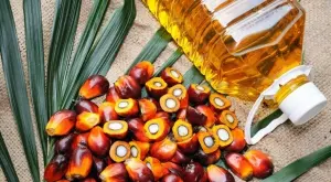 От години се подозира че приема на палмовото масло причинява