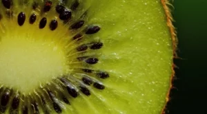 Тези 5 храни съдържат повече витамин C от портокала