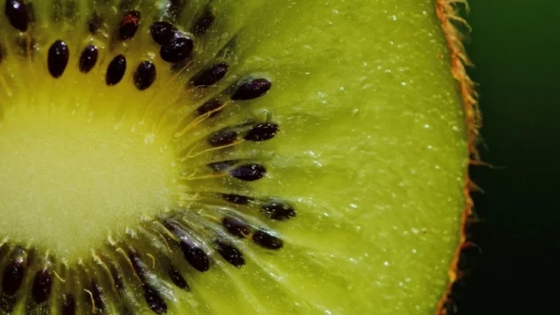 Тези 5 храни съдържат повече витамин C от портокала