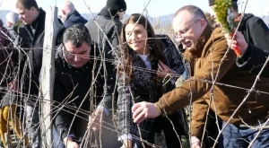 Порожанов: Лозовите масиви в България се увеличават