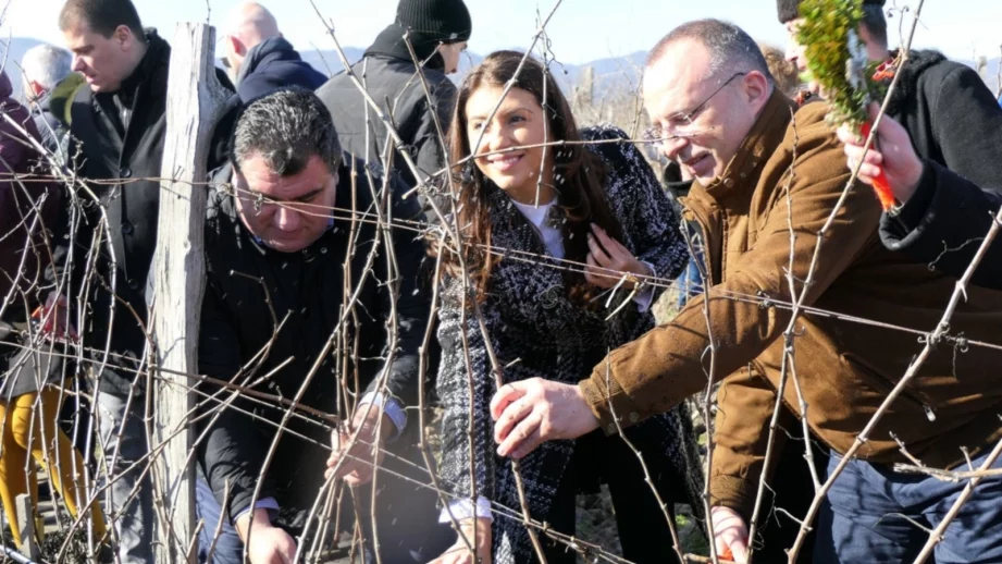 Порожанов: Лозовите масиви в България се увеличават