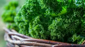 Страхотните ползи от кейла