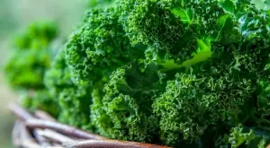 Внимавайте с консумацията на кейл! Ето защо!