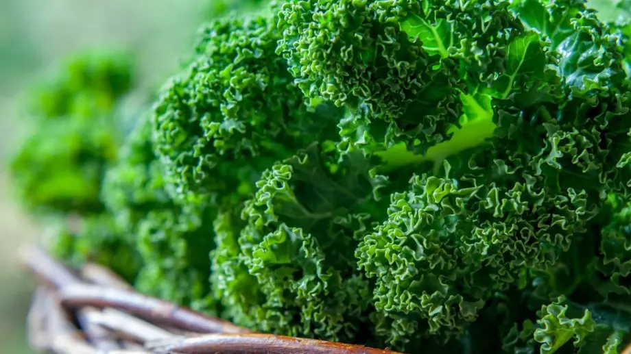 Внимавайте с консумацията на кейл! Ето защо!