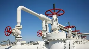 2019/03/05/0924491001551781512