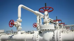 2019/03/05/0924491001551781512