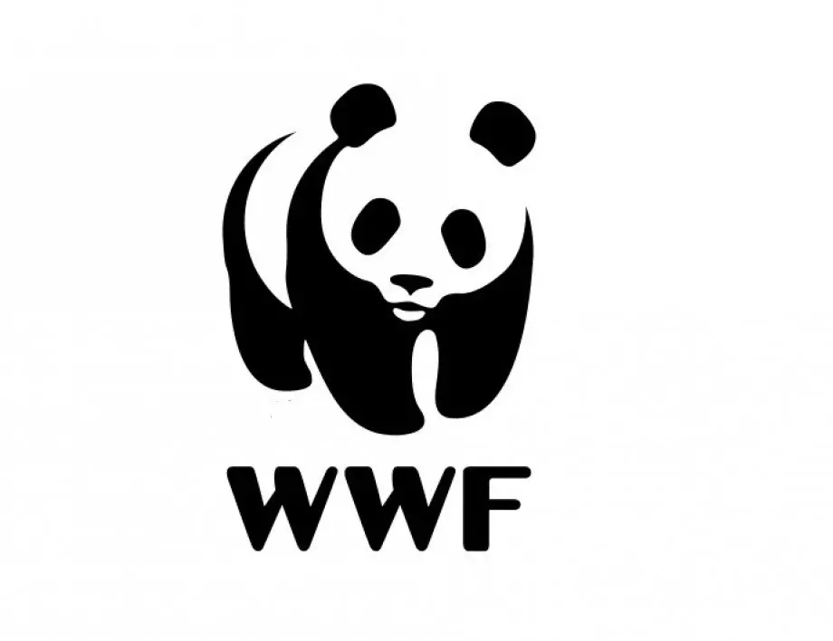WWF: Човечеството изхвърля 40% от храната си