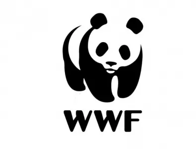 WWF: 88% от запитаните в София искат затваряне на ТЕЦ-овете 