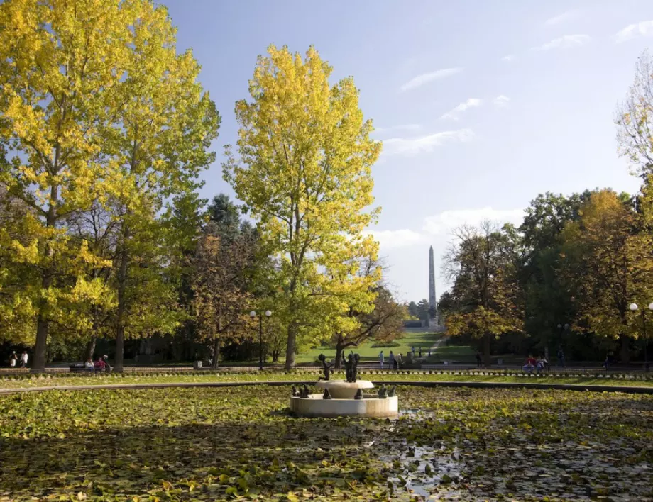 Отново пускат коли в Борисовата градина, въпреки забраните
