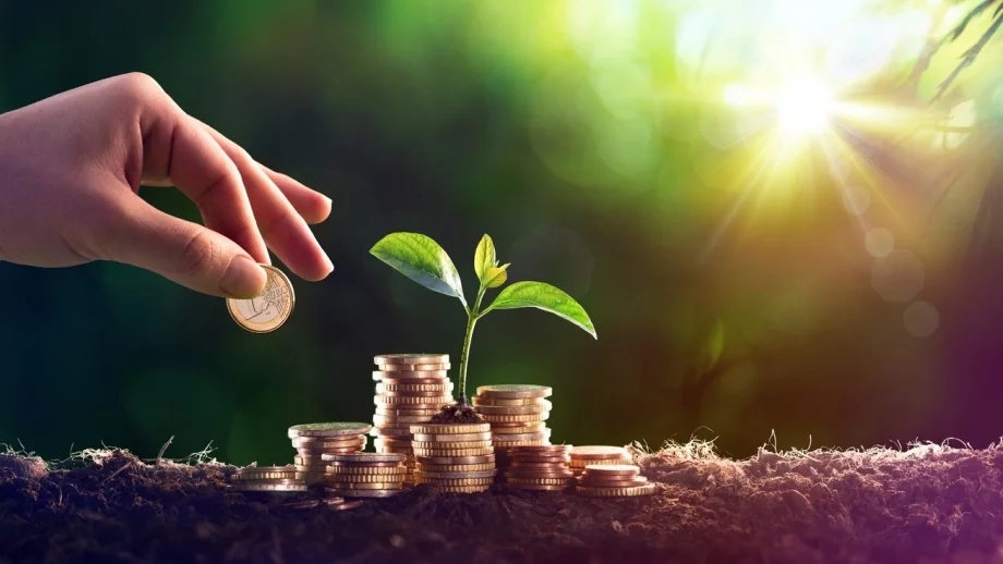 Чужденци, инвестиращи в Северна България, ще получават гражданство